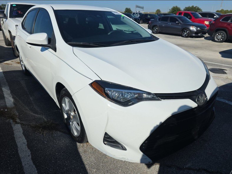 2019 Toyota Corolla LE's photo